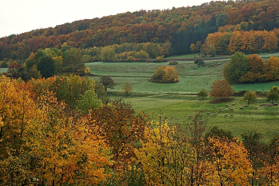 Ausblick auf unserer Wanderung im Kochertal zur Burg Tierberg