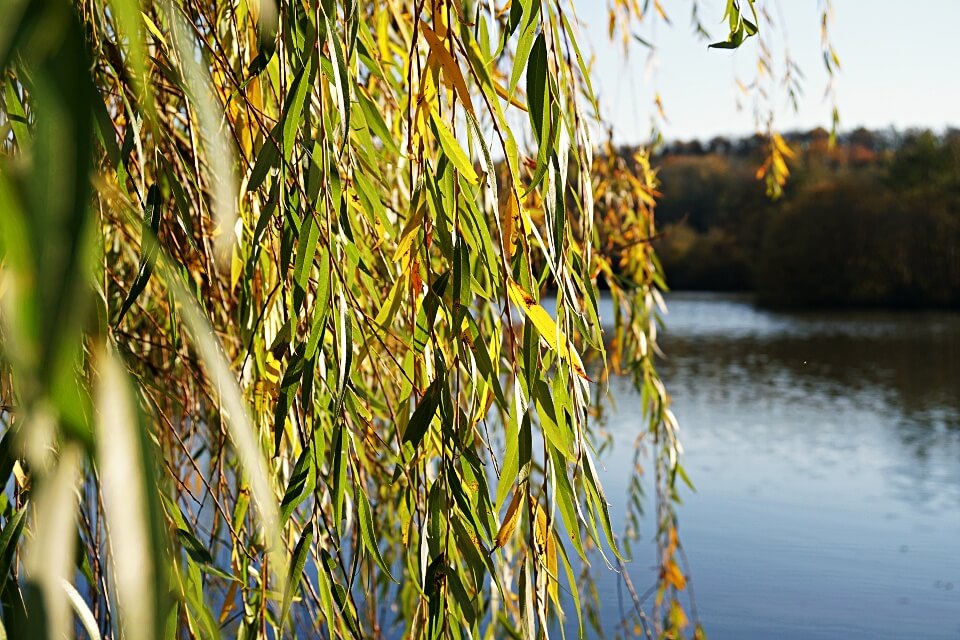 Gleichener See in Pfedelbach in Hohenlohe