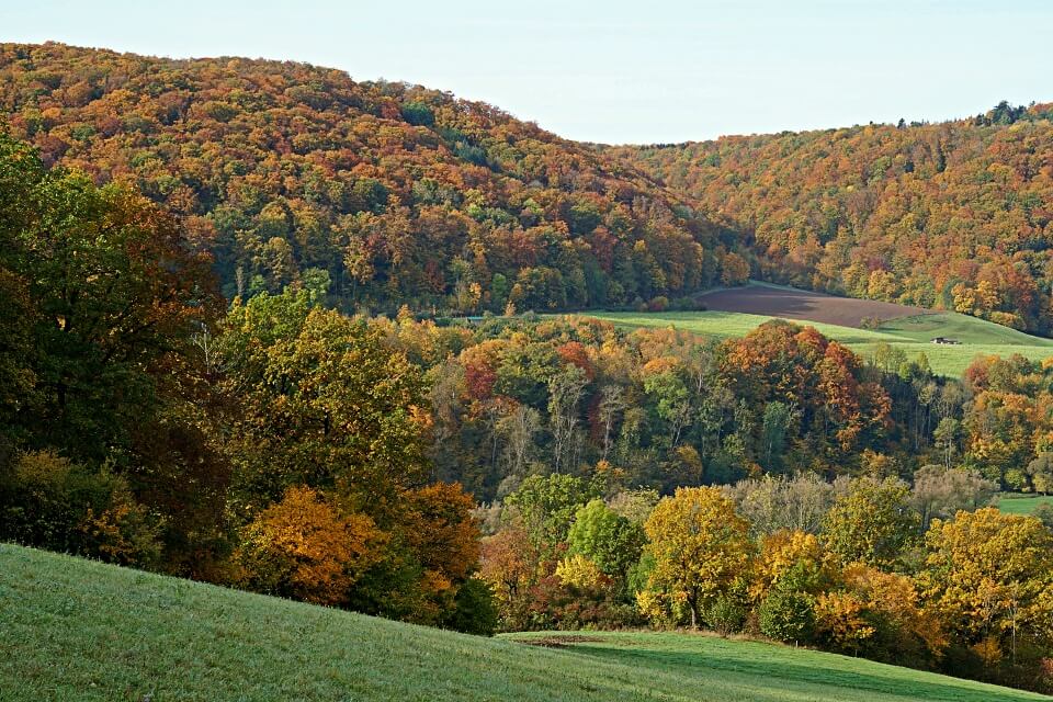 Bunte Herbststimmung im Kochertal bei Steinkirchen in Hohenlohe