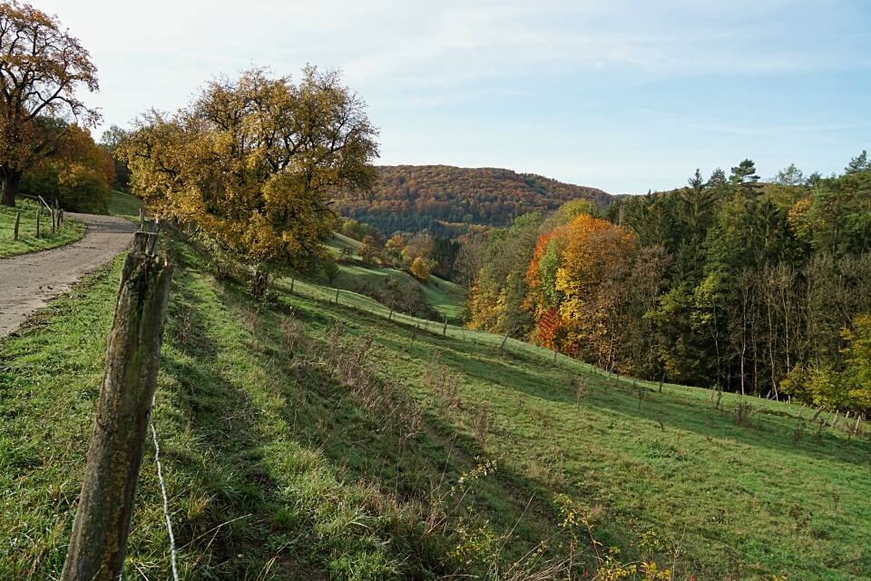 Blick ins Tal unterhalb von Burg Tierberg