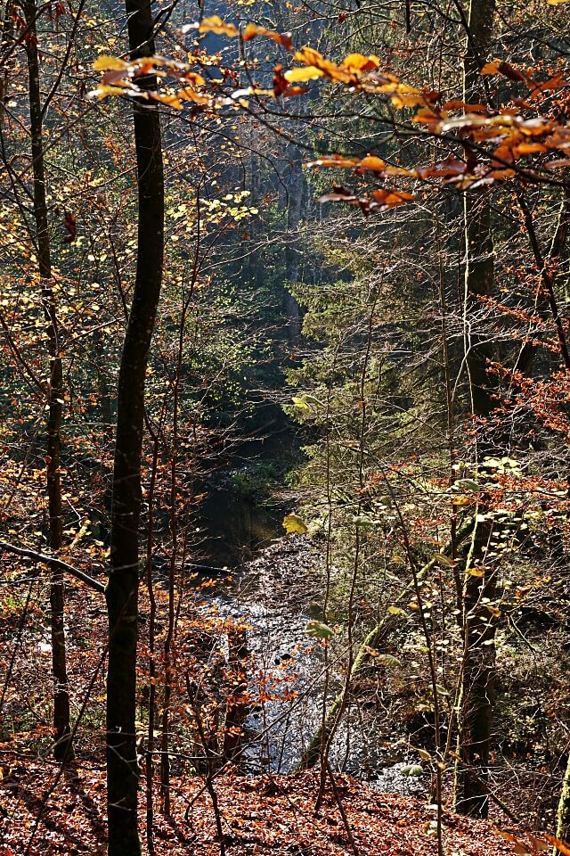 Blick vom Wanderweg auf die Kupfer