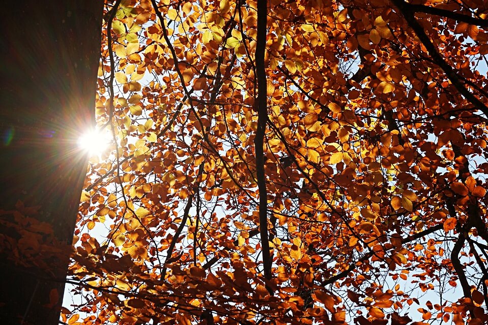 Sonne auf unserer Wanderung durch das Kupfertal