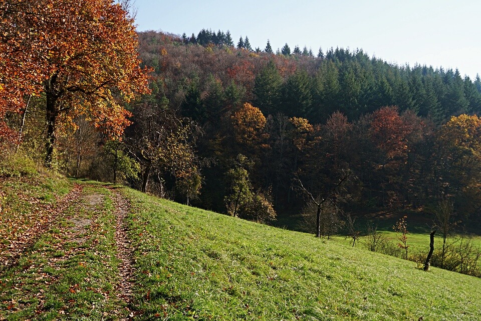 Das Hohenloher Kupfertal im Herbst