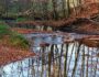 Wandern im Herbst im Kupfertal um Forchtenberg in Hohenlohe