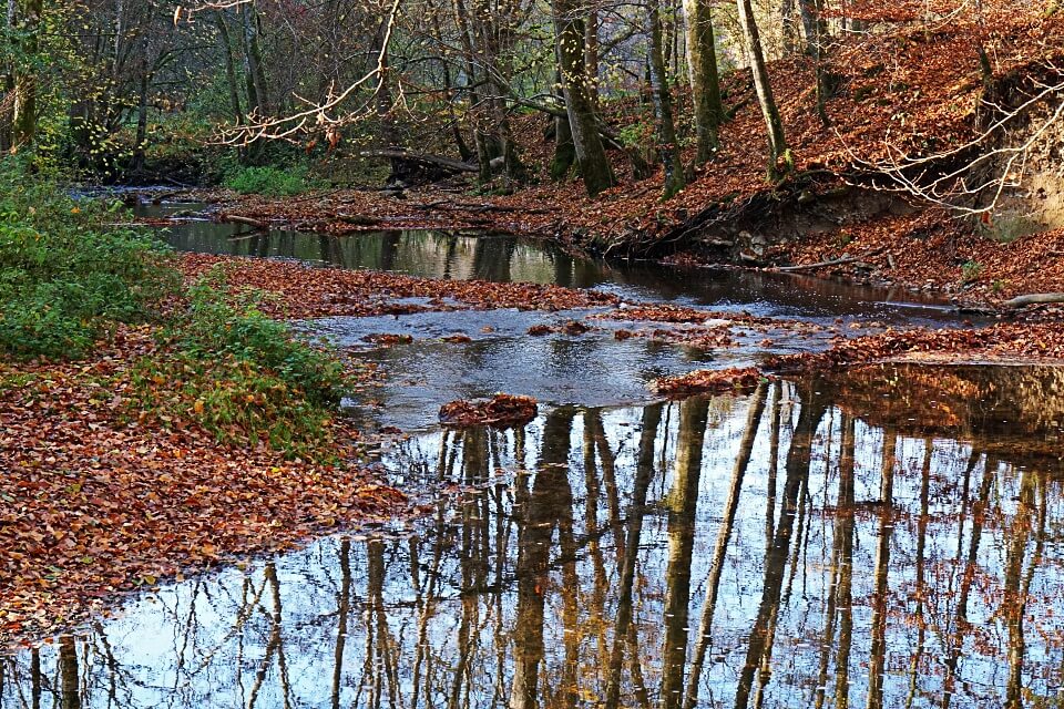 Wandern im Herbst im Kupfertal um Forchtenberg in Hohenlohe