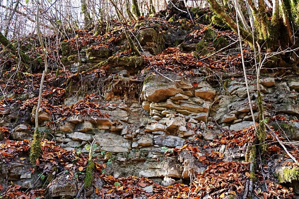 Muschelkalk im Kupfertal