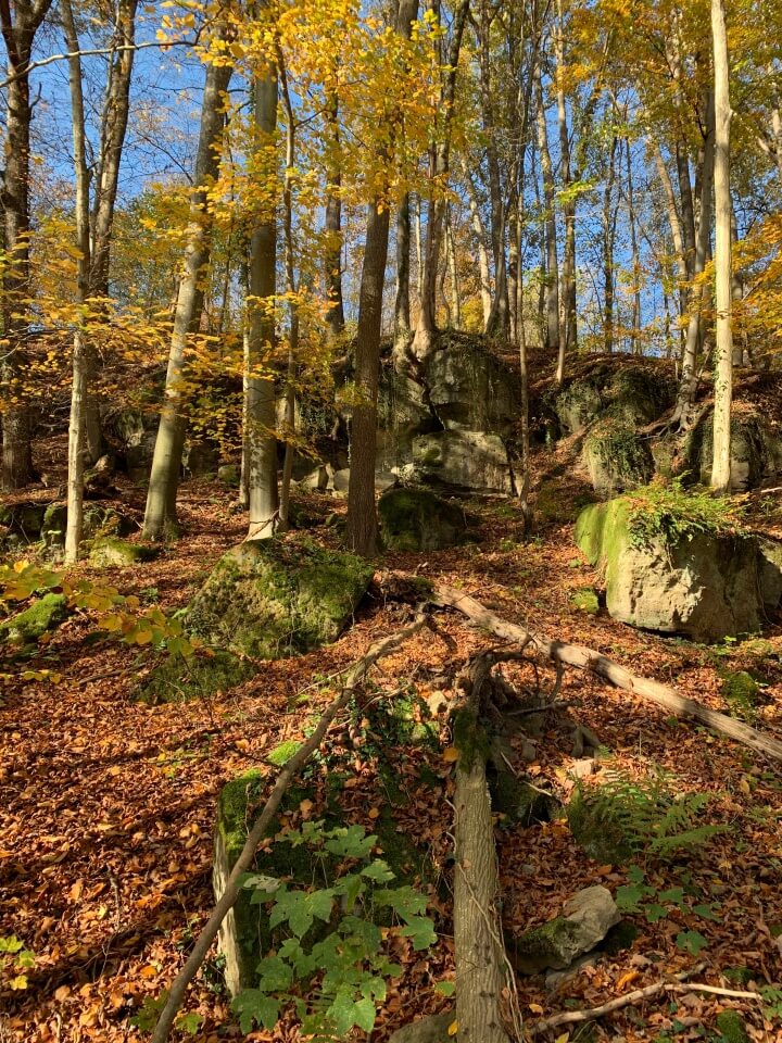 Tolle Schlucht mit Felsen im Mainhardter Wald