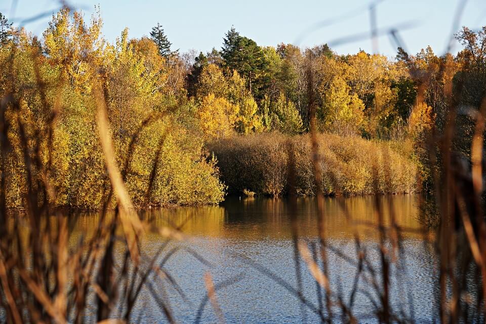 Gleichener See in Pfedelbach in Hohenlohe