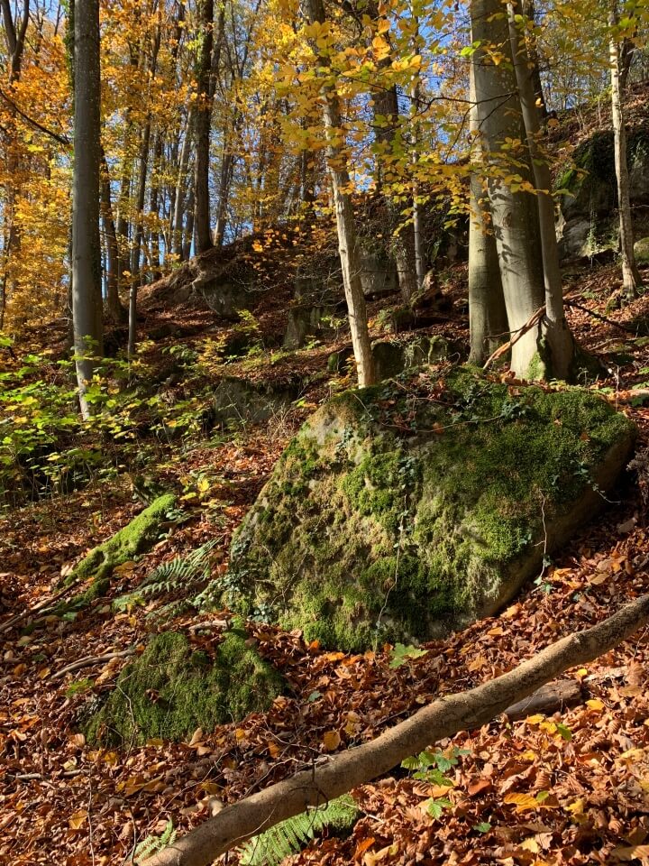 Tolle Schlucht mit Felsen im Mainhardter Wald