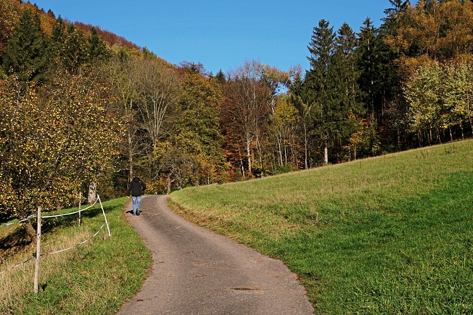 Wanderweg in die Holderklinge