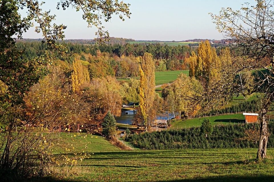 Forellenparadies Weinberger Frohnfalls