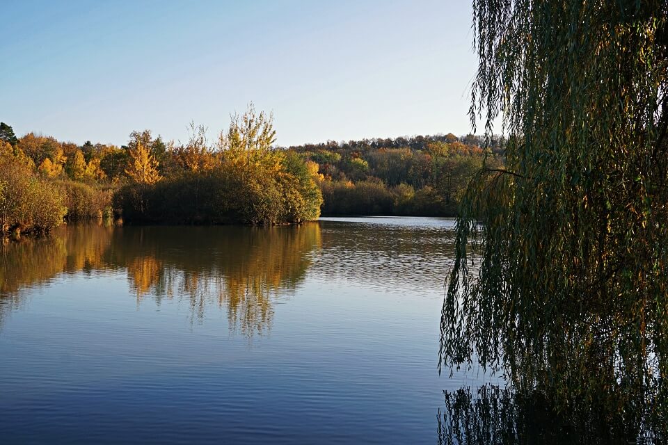 Wandern im Mainhardter Wald zum Gleichener See