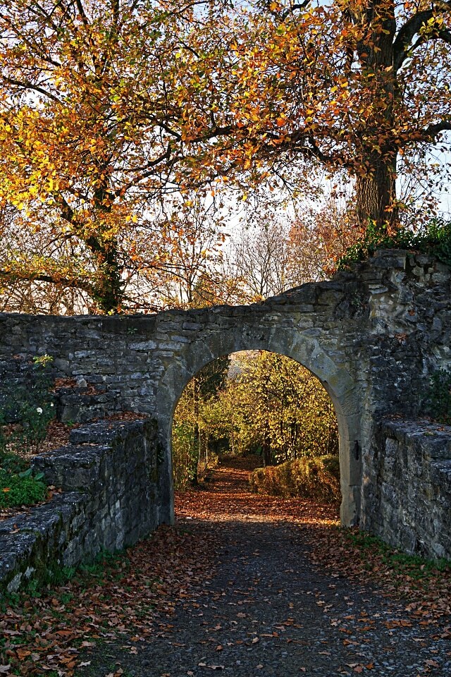 Ruine Forchtenberg im Herbst