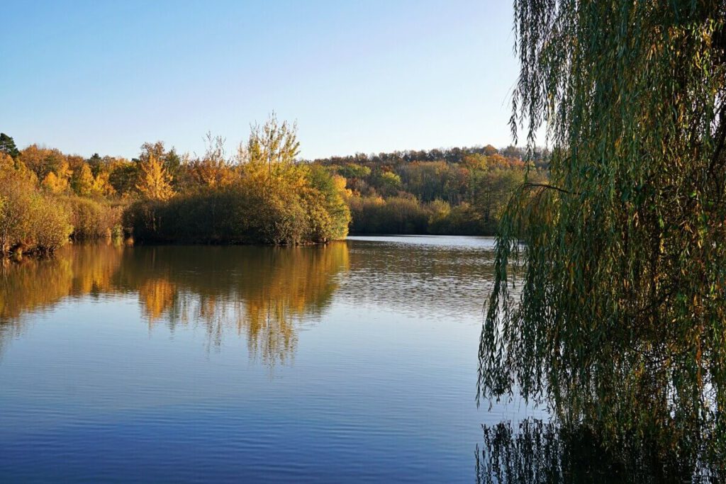 Wanderung im Mainhardter Wald zum Gleichener See in Hohenlohe