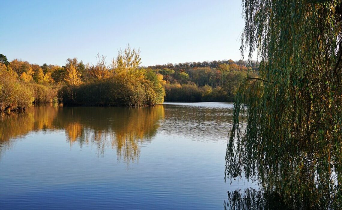 Wanderung im Mainhardter Wald zum Gleichener See in Hohenlohe