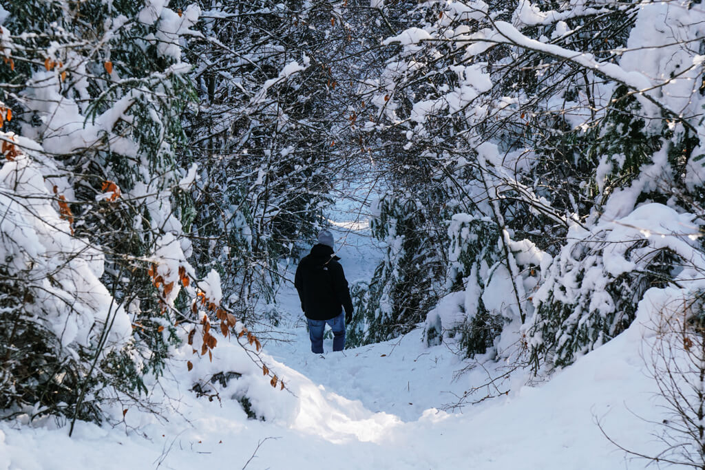 Wandern auf dem Limeswanderweg bei Grosserlach im Schwaebischen Wald