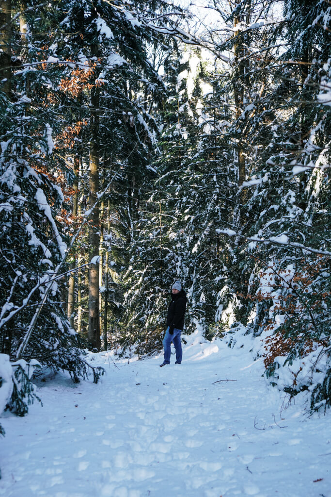 Durch den verschneiten Mainhardter Wald