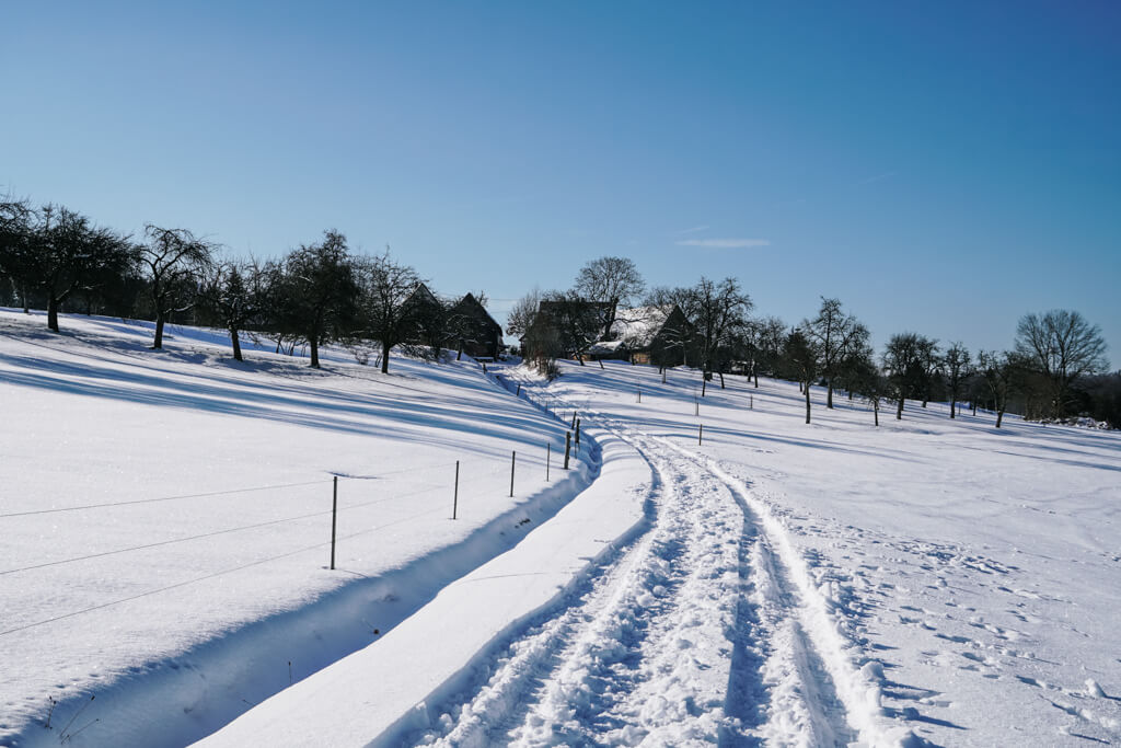 Wanderweg auf der Tour E Idyllische Strasse bei Grosserlach