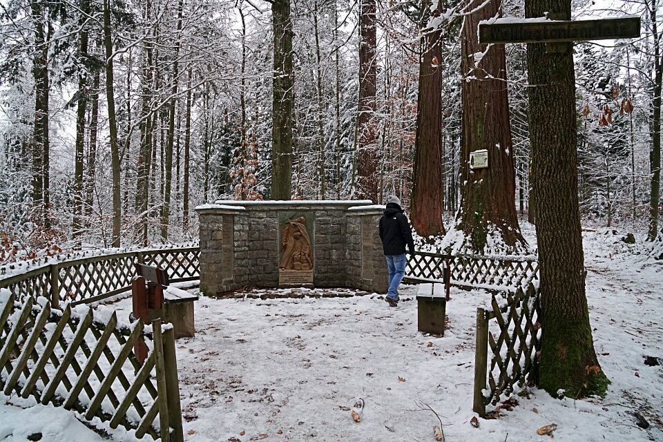 Wellingtonienplatz mit Mammutbaumen in Wustenrot