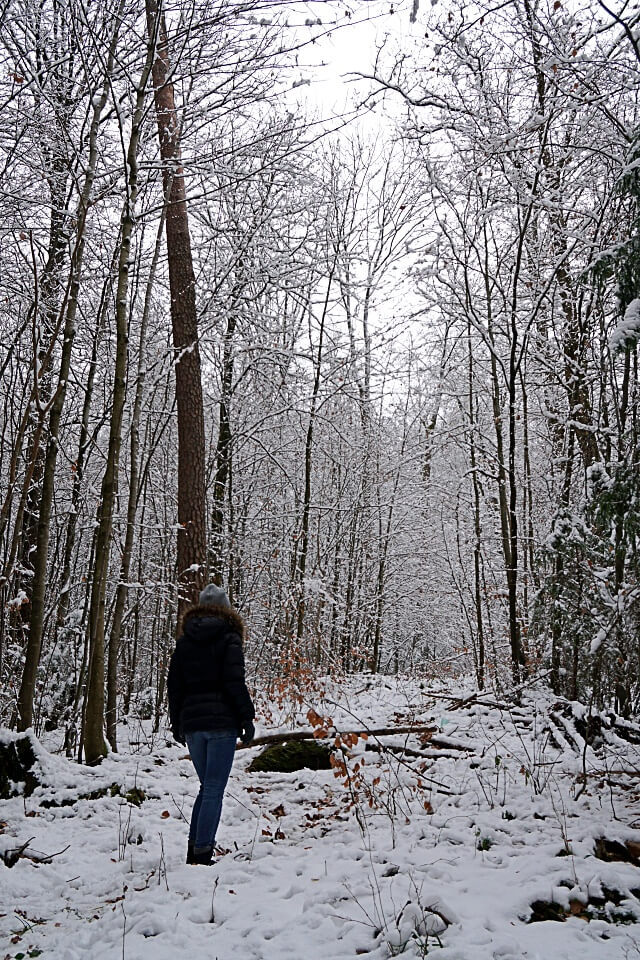 Winter Wandern in Wuestenrot in den Loewensteiner Bergen