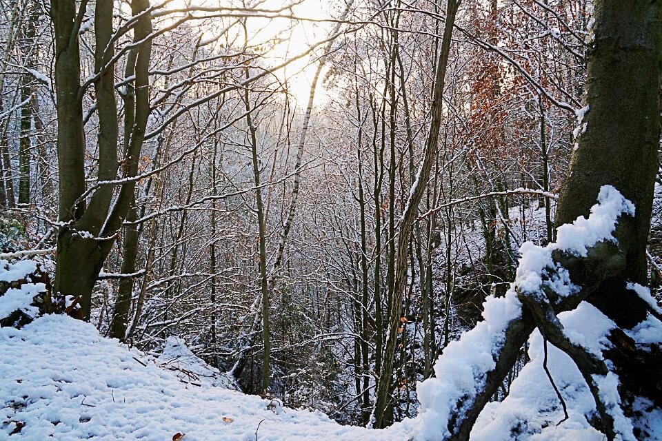 Wanderung durch die Pfaffenklinge in Wustenrot