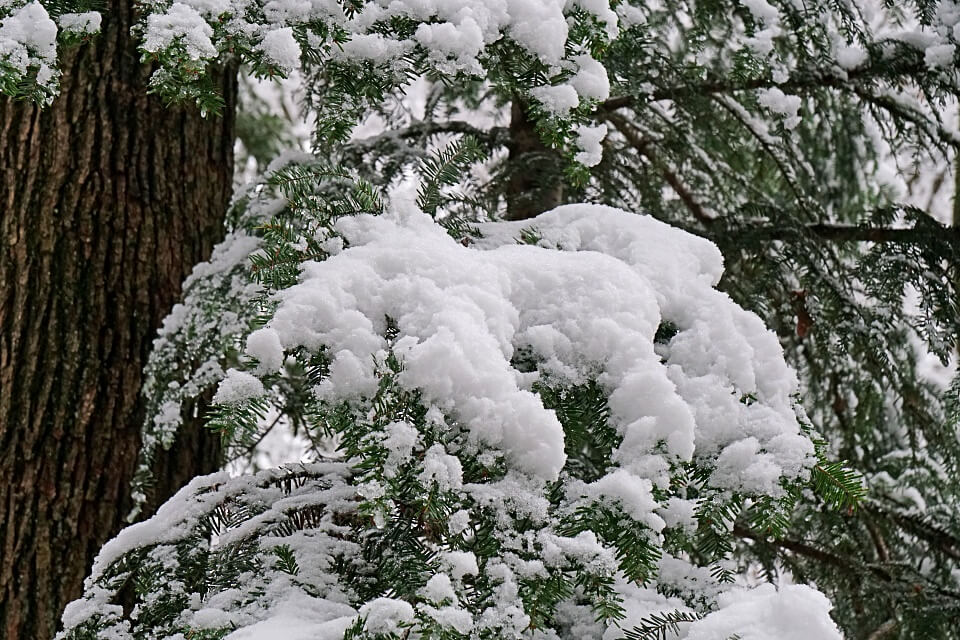 Winter und Schnee in den Lowensteiner Bergen im Schwabisch Frankischen Wald 