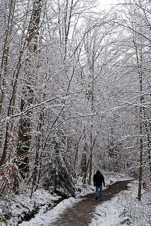 Winter Wandern in Wuestenrot in den Loewensteiner Bergen