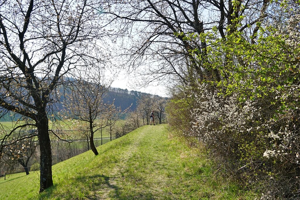 Wanderung Natura Trail Krautheim in Hohenlohe