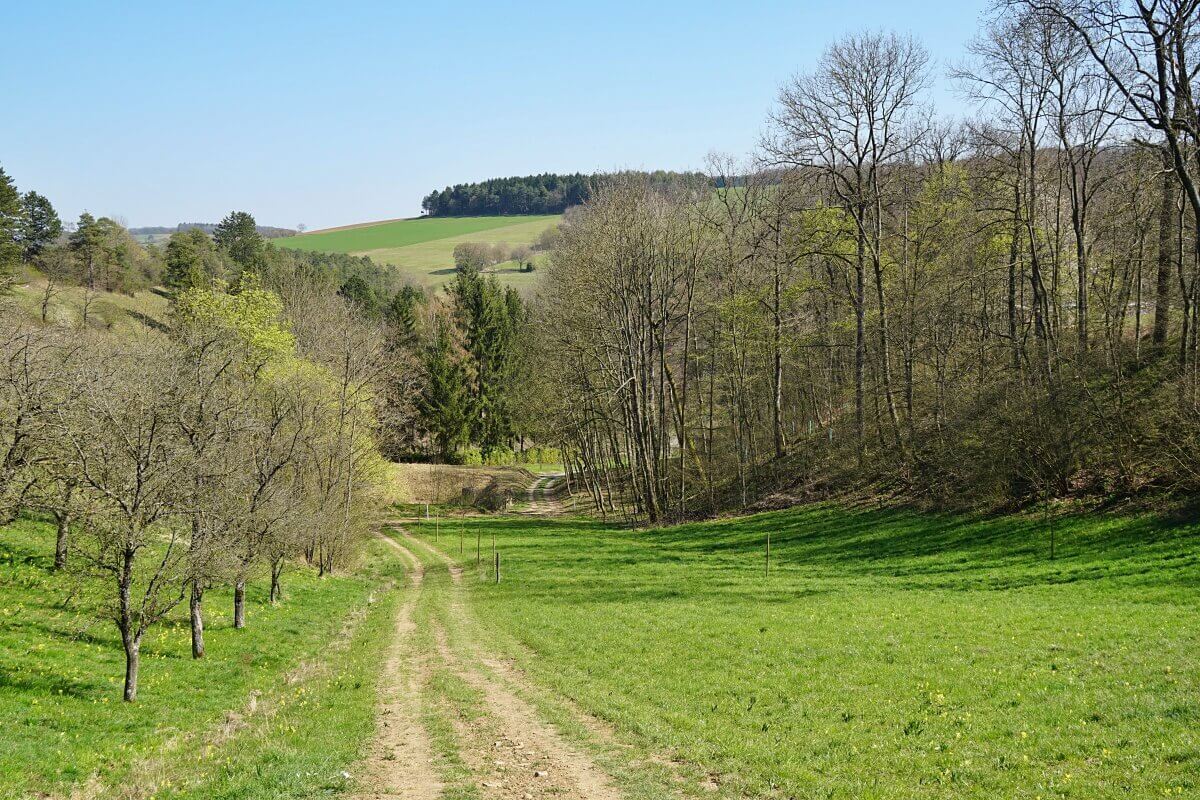 Wandern auf dem Natura Trail im Mittleren Jagsttal ab Krautheim in Hohenlohe