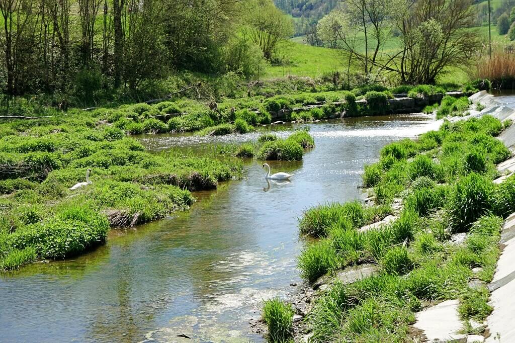 Die Jagst in Unterregenbach