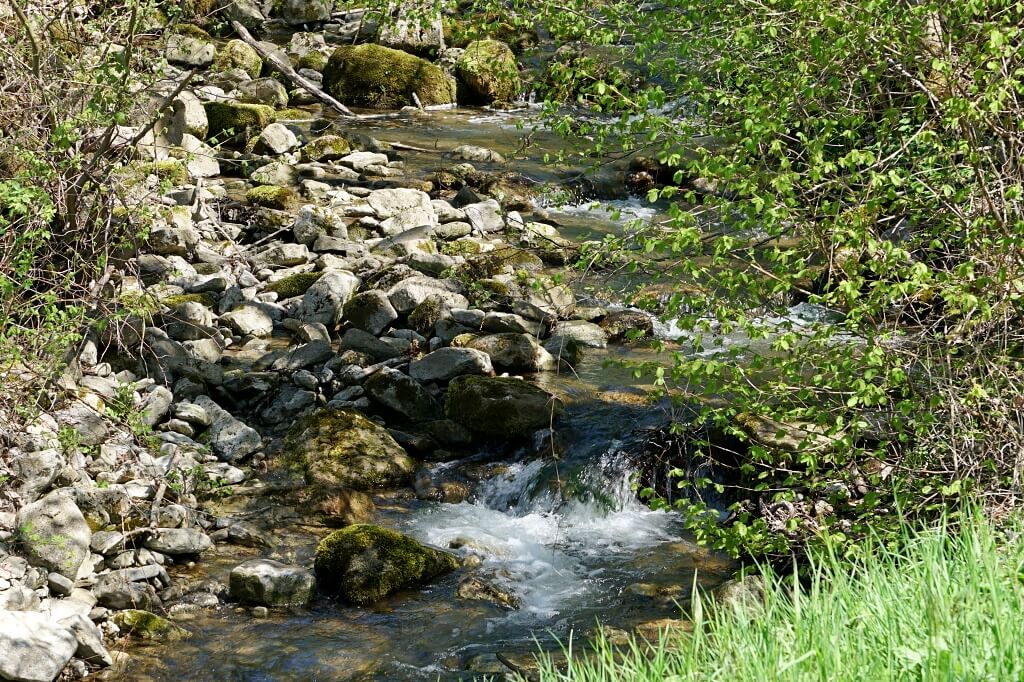 Der Holderbach in Hohenlohe