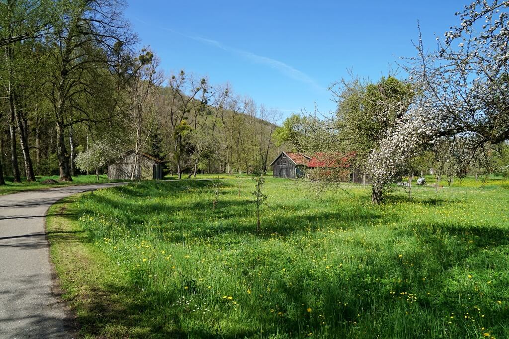 Eberbach auf dem Pfad der Stille Mulfingen