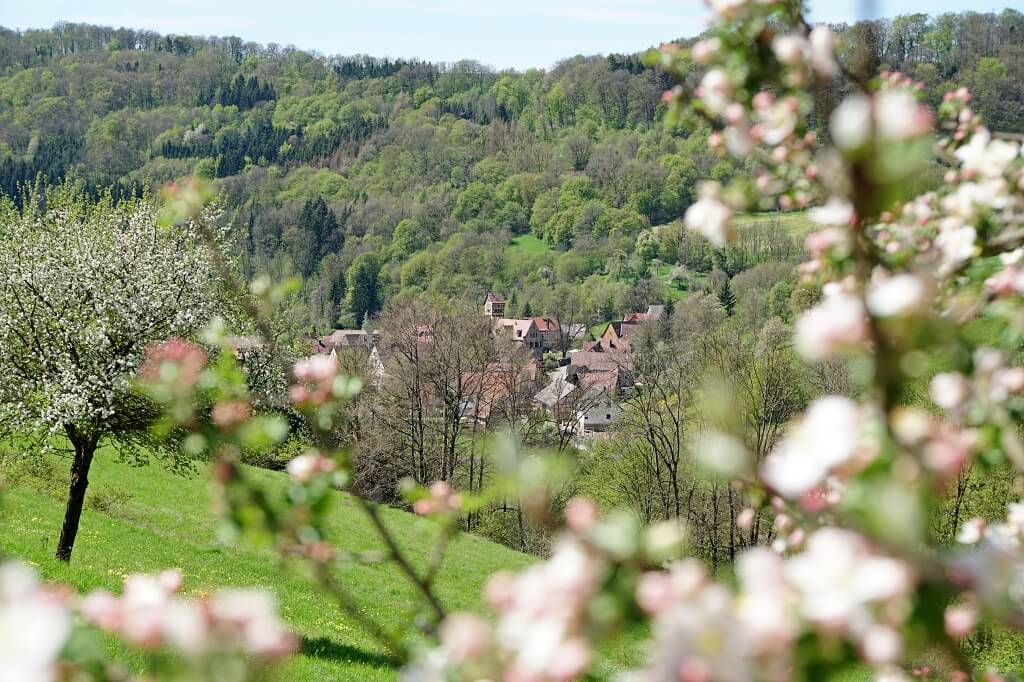 Blick auf Unterregenbach 