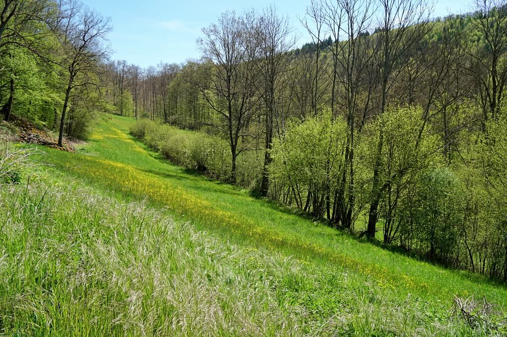 Wandern am Holderbach auf dem Pfad der Stille