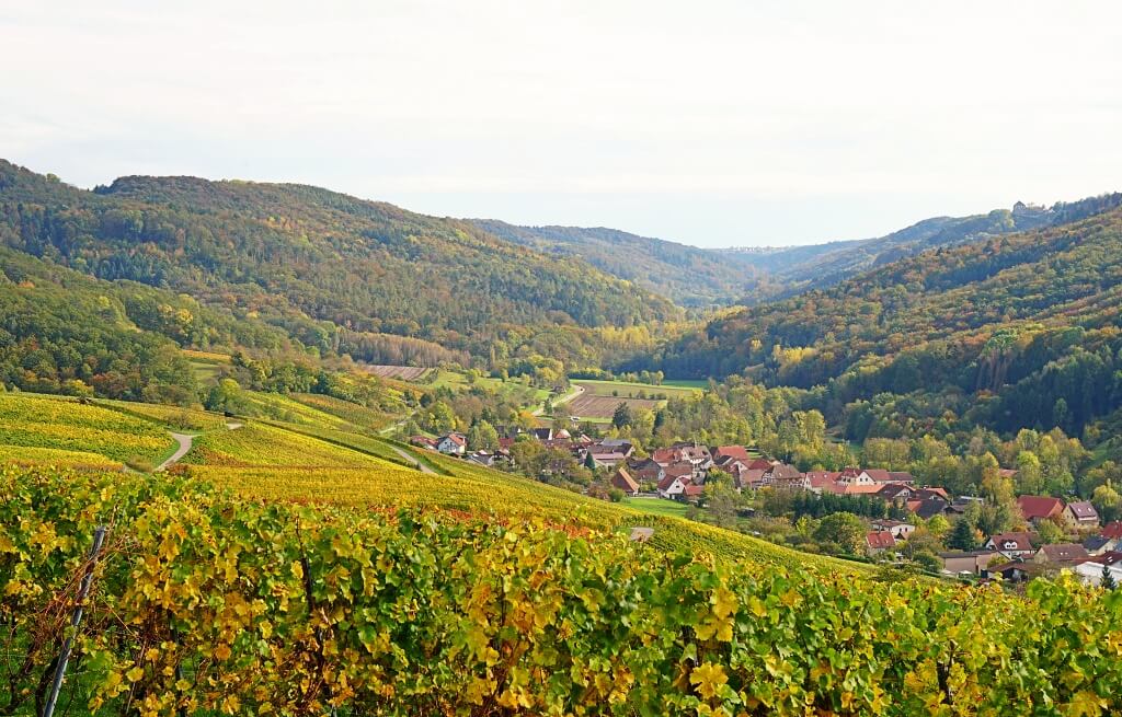 Blick von den Geddelsbachern Weinbergen Richtung Mainhardt