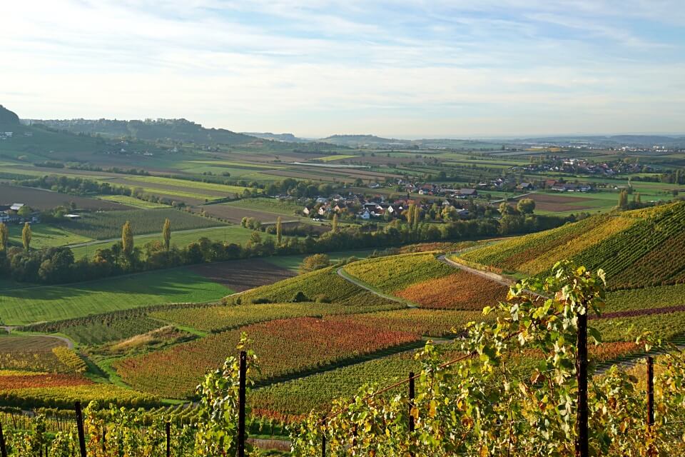 Wein Wege Hohenlohe Heuholz