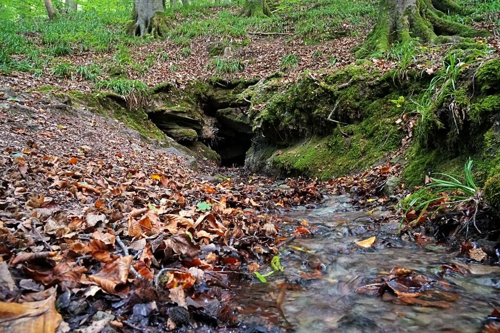 Kalksklinge Untersteinbach Hohenlohe Herbst