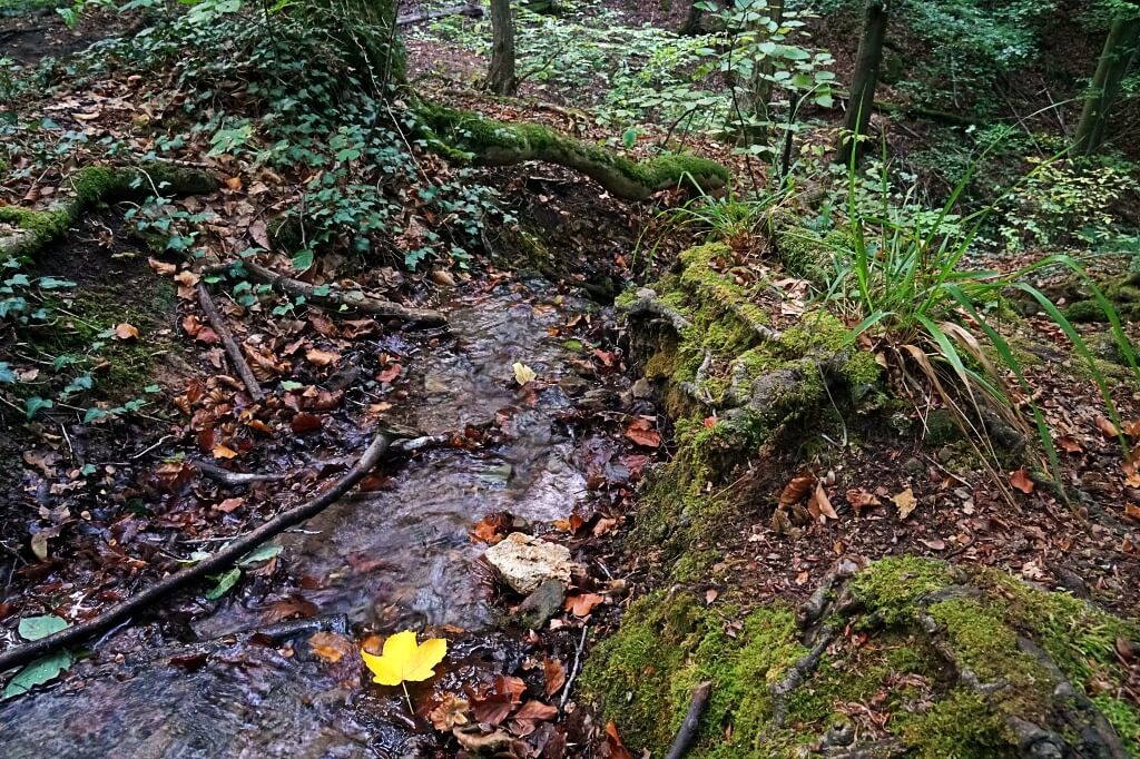 Kalksklinge Untersteinbach Hohenlohe Herbst