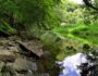 Wilde Pfade Vellberg Wandern im Buehlertal in Hohenlohe