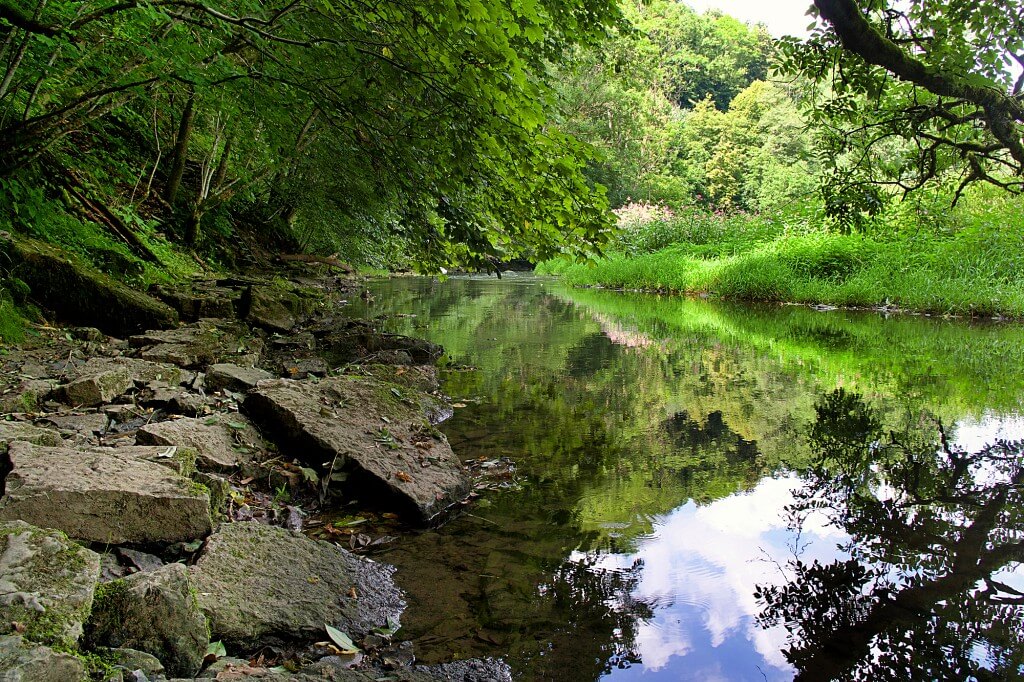 Wilde Pfade Vellberg Wandern im Buehlertal in Hohenlohe