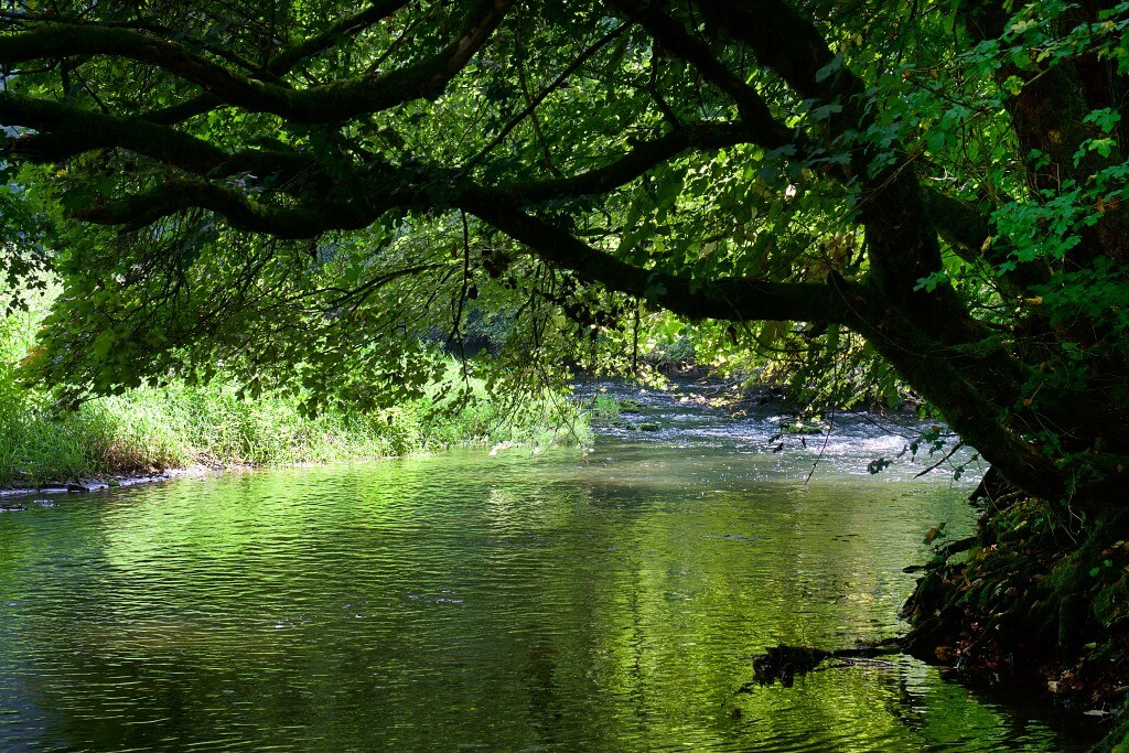 Wandern auf dem Buehlertalwanderweg bei Vellberg