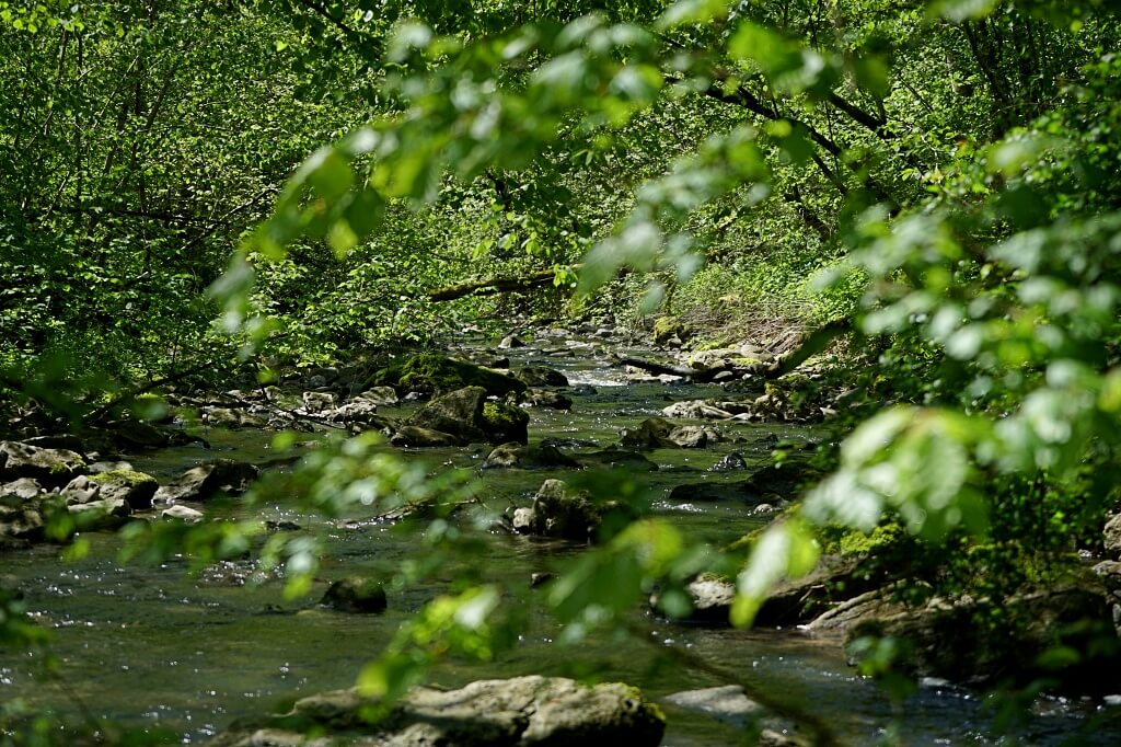 Wanderung von Eberbach im Jagsttal durch das Roetelbachtal zur Hertensteiner Muehle in Hohenlohe