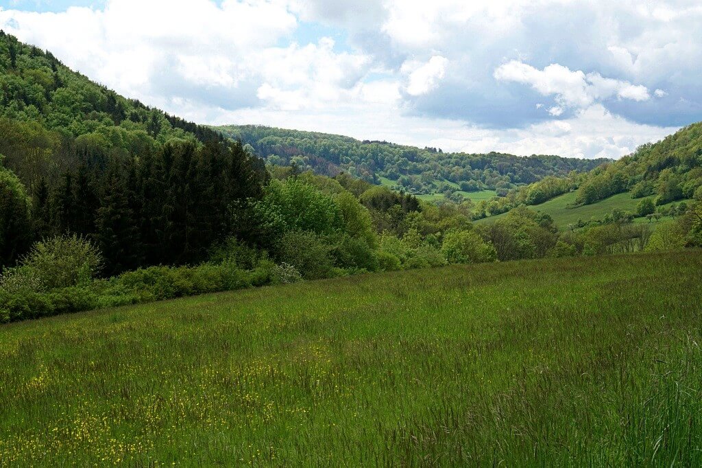 Wiesenlandschaft im Roetelbachtal und in Jagsttal beim Wandern in Hohenlohe