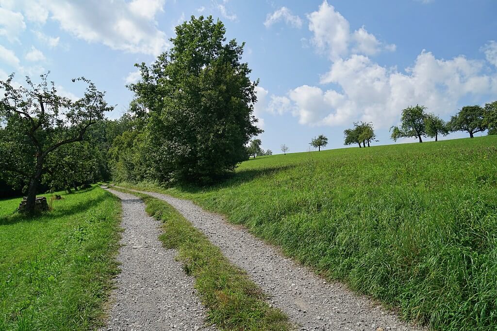 Wanderung ins Naturschutzgebiet Unteres Buehlertal bei Vellberg in Hohenlohe