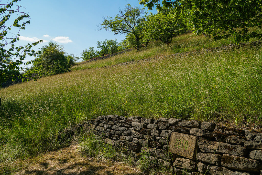 Neue Weinbergmauer mit Jahreszahl im Naturschutzgebiet Hoernle am Essigberg in Roigheim