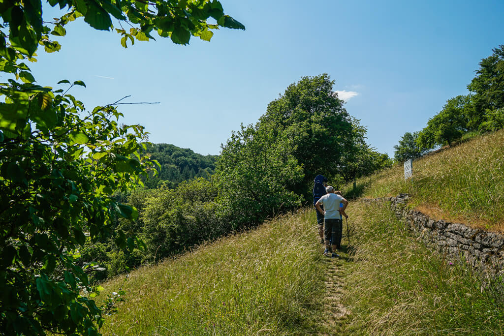 Rundwanderung durch das Naturschutzgebiet Essigberg in Roigheim