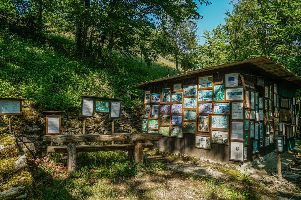 Infotafel und Lehrpfad am Essigberg