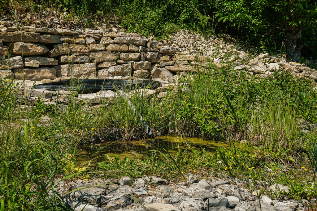 Kleiner Teich als Biotop am Essigberg