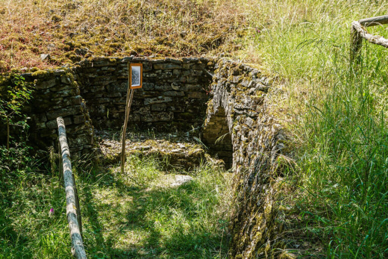 Auf ins Paradies Orchideenblüte im Naturschutzgebiet Hörnle am Essigberg