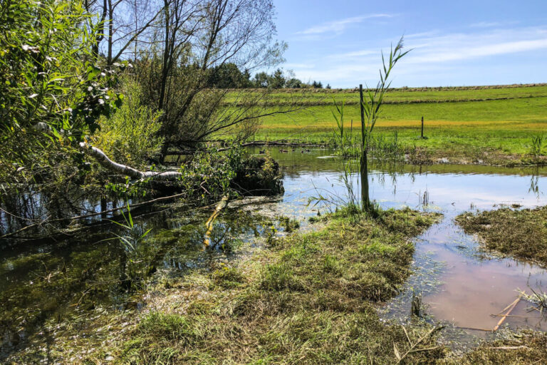Finsterroter See & Dachsi Erlebnsipfad
